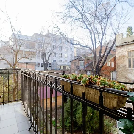 Central Apartment